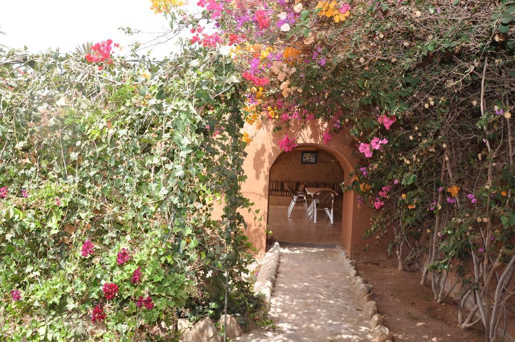La Palmeraie De Massa Zaouit Massa エクステリア 写真